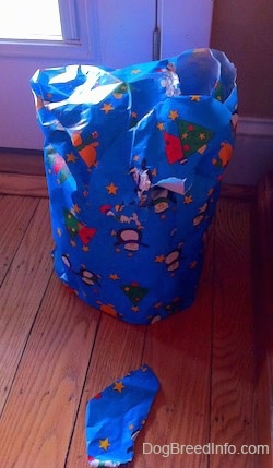 A torn wrapped gift on a hardwood floor. The wrapping paper is blue with snowmen on it.
