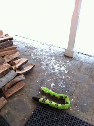 A green snake is laying on a stone porch next to a stack of split logs. Next to the porch is a lot of snow.