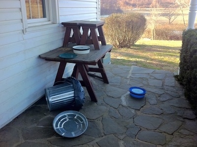 A wooden table on a stone porch in front of a white farm house with a knocked over trash can next to it. There is a white plastic upside down food bowl and a green plate on the table. Across from the table on the ground is an upside-down blue bowl.