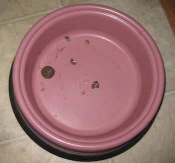 A pink plastic bowl on a tiled floor with a little bit of dog food left in it.