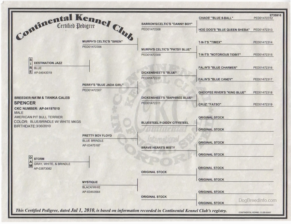 A Continental Kennel Club Pedigree Certificate.