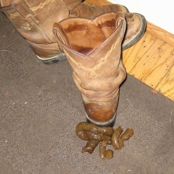 A pile of poop behind a brown leather cow girl boot on a brown throw rug.