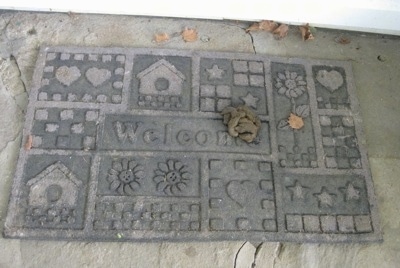 A pile of dog poop on a welcome mat outside on a stone porch.