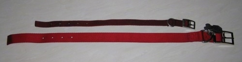 A small dog collar is laying next to a larger red dog collar.
