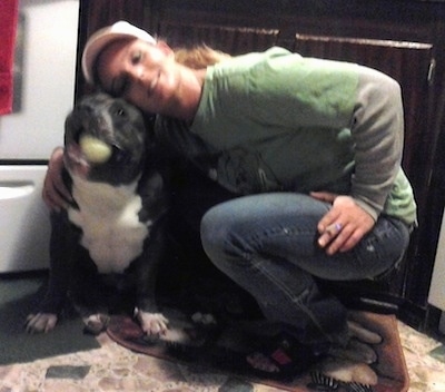 A black with white American Bully is sitting in a kitchen and there is a person hugging it.