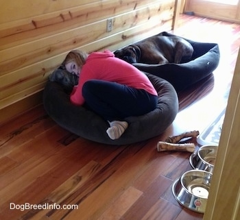 Sara hugging Spencer in the dog bed. Bruno is Sleeping in the Dog bed behind them