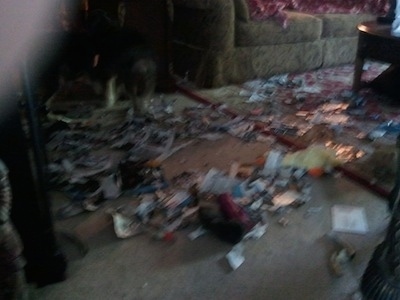 A room with a large number of magazines ripped apart and spread all over the floor