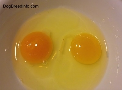 Free Range Egg and Cage Egg cracked into the same bowl