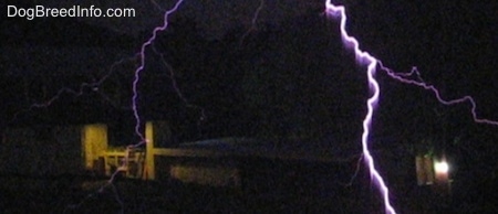 lightning striking the ground in a persons yard
