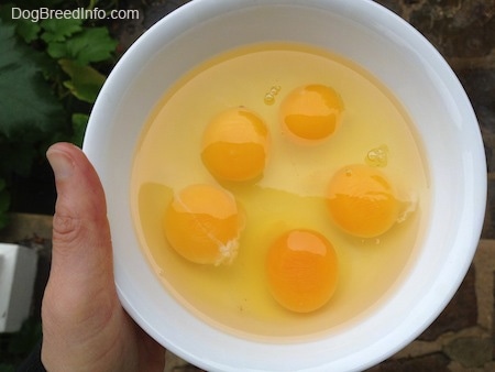 Five egg yolks in a bowl being held by a person