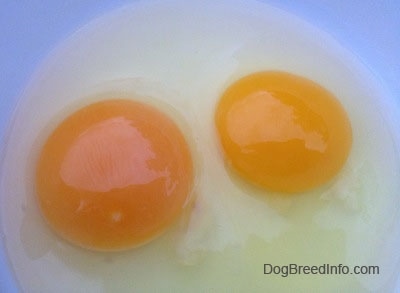 Two egg yolks in a bowl