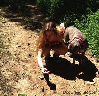 Spencer the Pit Bull Terrier standing next to a kneeling girl who is holding a butterfly in her hand