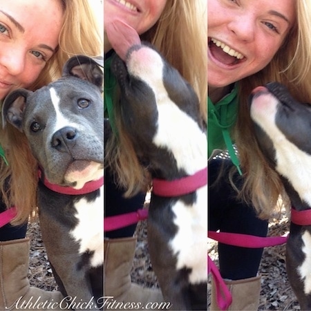 Close up - A series of images of a blonde haired girl taking pictures with a blue nose American Bully Pit puppy.
