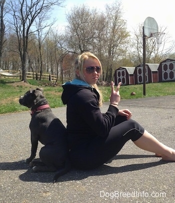 A blonde haired girl and a blue nose American Bully Pit puppy are sitting back to back on a blacktop surface.