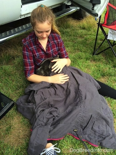 A girl in a maroon and blue plaid shirt is sitting in grass and a blue nose American Bully Pit is laying in between her legs covered in the girls gray coat.