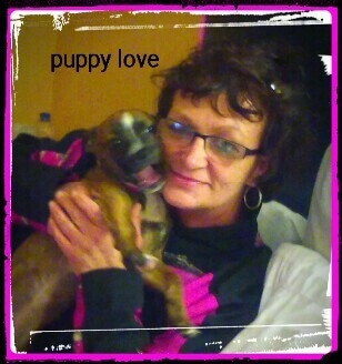 The right side of a brown with white and black Boston Huahua puppy is being held next to a ladies face. Overlaid on the image are the words 'puppy love'.