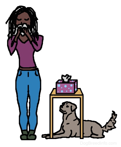 Drawn picture of a dog under a table with tissues on it and a lady blowing her nose