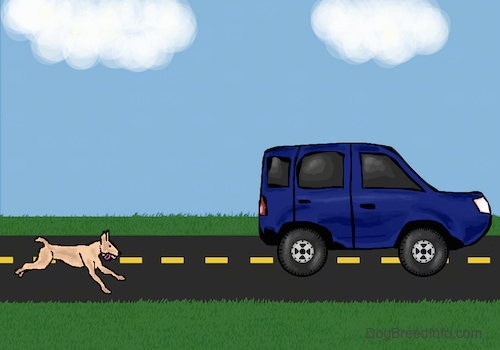 A drawn picture of a dog chasing a blue car down the road