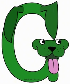 A drawn picture of a dog that is also the letter G