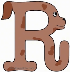 A drawn picture of a dog that is also the letter R