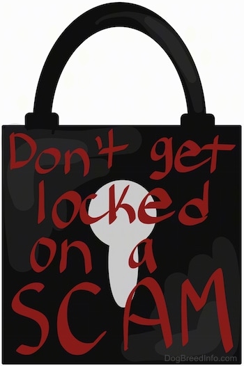 A drawn black lock with red letters that say - DON'T GET LOCKED ON A SCAM