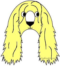 A drawn yellow Afaird dog is shaped in the letter of an A