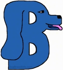 A blue drawn letter B that is also a dog