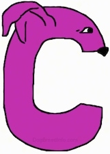 A purple drawn letter C that also looks like a dog