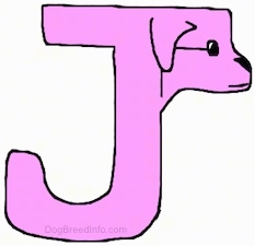 A hot-pink-purple drawn letter J that also looks like a dog