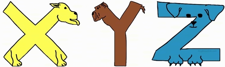 Drawn letters X ,Y and Z. All three letters also look like dogs. The X is yellow, the Y is brown and the Z is blue.