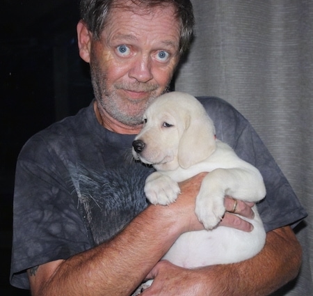 A wide-eyed man in a gray wolf shirt is holding up a small sleepy looking yellow Labrador Retriever puppy.