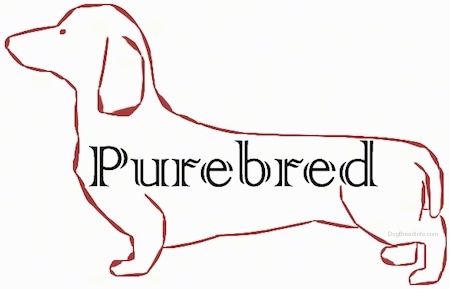A image of a drawn dog with the words Purebred in it.