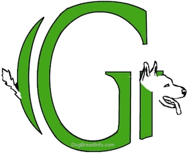 A drawn picture of a dog that is also the letter G