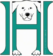 A drawn picture of a dog that is also the letter H