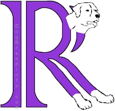 A drawn picture of a dog that is also the letter R
