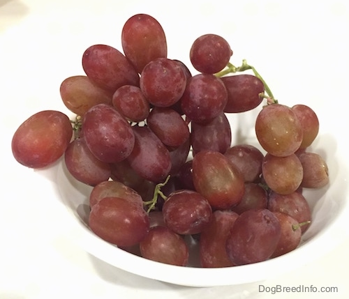 A white bowl of red grapes