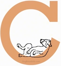 A drawn dog laying belly-up in a letter C