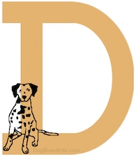 A drawn picture of a Dalmatian dog that is inside of the letter D