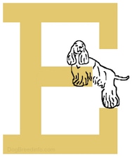 There is a big yellow letter of an E and there is a picture of a drawn English Cocker dog climbing on it