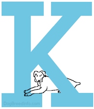 A drawn dog is laying at the base of the capital letter K