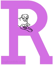 A drawn dog is laying in the empty middle part of a drawn capital letter R