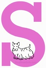 A drawn Scottish Terrier dog is standing on the base of a drawn letter S