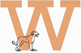 A drawn dog is standing inside of a drawn capital letter W