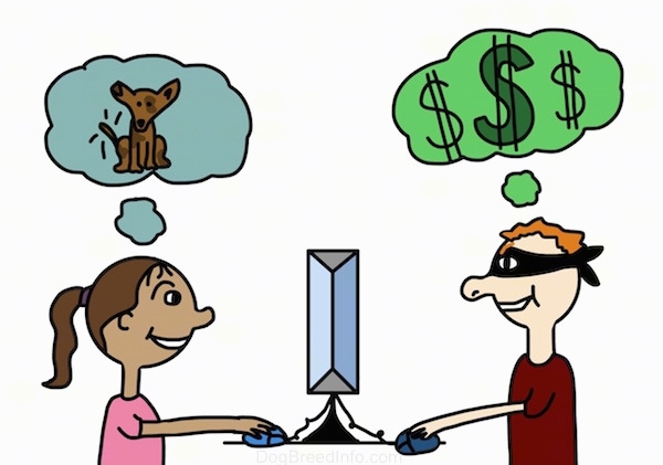 A drawn lady is using a computer and in a thought bubble over her head is a dog. On the other side is a drawn burgular using a computer and over his head in a thought bubble is a money sign. There is a computer between them.