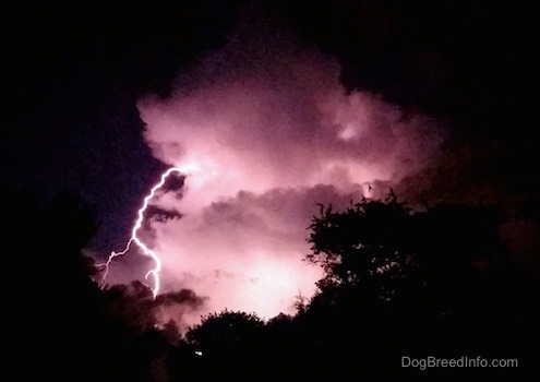 lightning striking coming from a cloud
