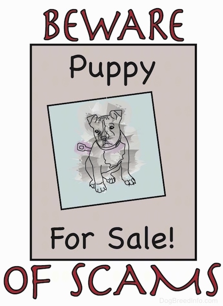 A drawn sign that says 'Beware of Scams'. Inside of a tan rectangle area in the middle are the words 'Puppy For Sale' and a puppy with a wind-up knob on the back of it symbolizing the puppy is not real.