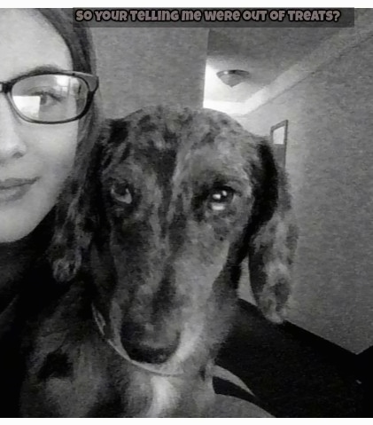 A black and white photo of a silver dapple Dachshund is in the arms of a lady who is smiling and wearing glasses. The words 'So your teling me were out of treats?' is overlayed at the top of the image.