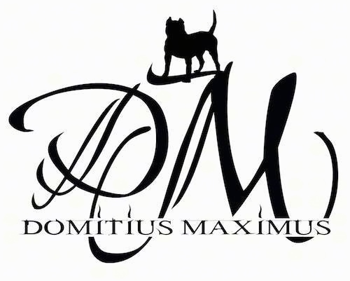 A logo with black letters that says 'DM Domitius Maximus' and there is a bully-mastiff type dog drawn in standing on top of the letter m in DM.