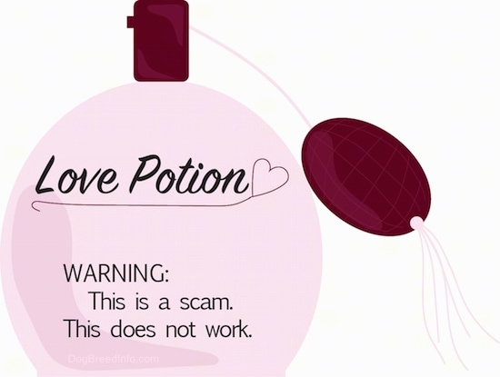 A pink bottle of perfume spray with a squeezer on the end with the words 'Love Potion Warning This is a scam. this does not work'