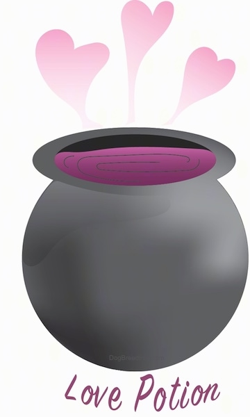 A black pot of pink love potion with hearts coming out the top with the words 'Love Potion' under it.